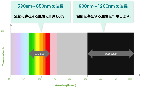 血管専用フィルターの2種類の波長