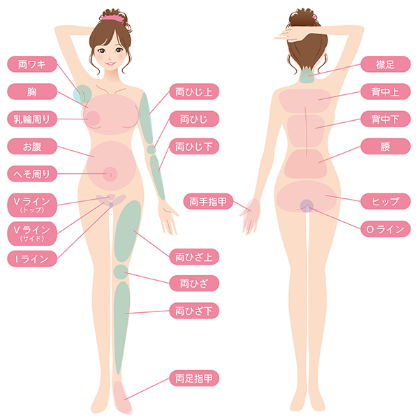 医療脱毛の対応部位（全身）の図